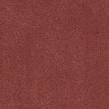 Draufsicht auf Vorwerk Mira 1N49